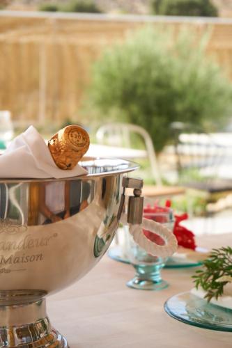 aelia wellness retreat