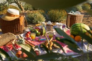 aelia wellness retreat