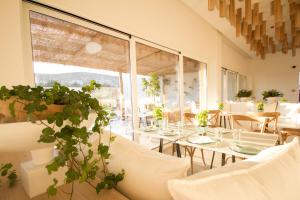 aelia wellness retreat