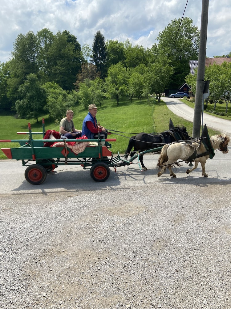 rakovica