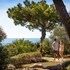 porec