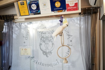 Anastasia Suites Zagreb,Inland Croatia>>Zagreb,4 star