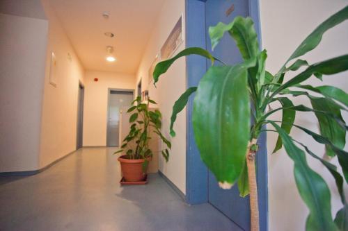 hi hostel rijeka