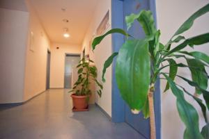 hi hostel rijeka