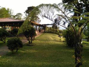 villa calas