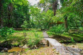 ciudad cortes