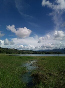 Lake Hotel,Near Lake Arenal,2.5 star