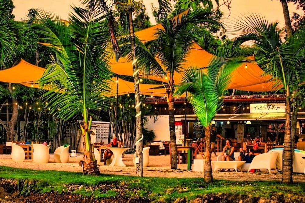 cafe de playa beach front restaurant and suites