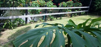 Rancho De Lelo Ecolodge,Puntarenas>>Monteverde,3 star