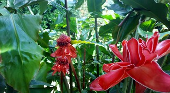 Rancho De Lelo Ecolodge,Puntarenas>>Monteverde,3 star