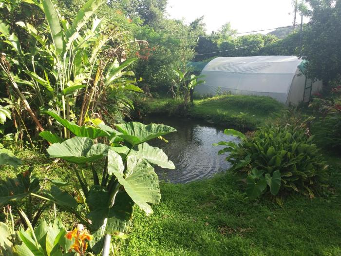 rancho de lelo ecolodge