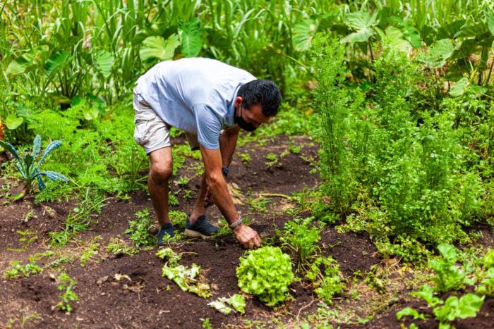 rancho de lelo ecolodge