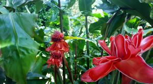 rancho de lelo ecolodge