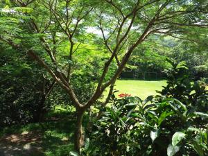 rancho de lelo ecolodge