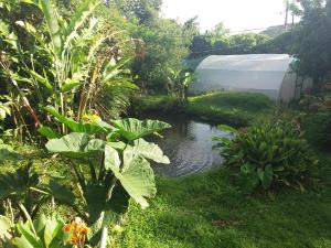 rancho de lelo ecolodge