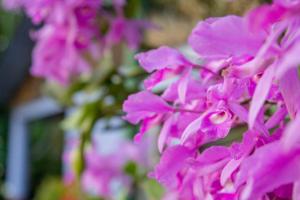 rancho de lelo ecolodge