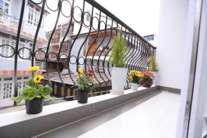 dalat eco hotel