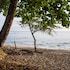 cahuita