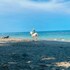 cahuita
