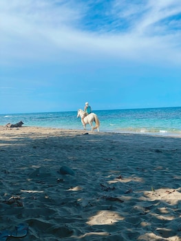 cahuita