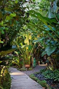 cahuita