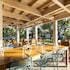 the gilded iguana surf hotel