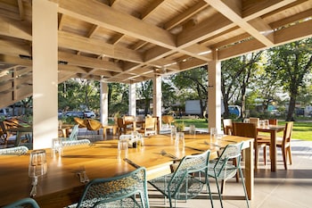 the gilded iguana surf hotel