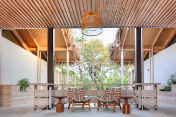 the gilded iguana surf hotel