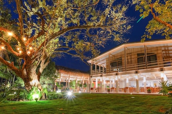 the gilded iguana surf hotel