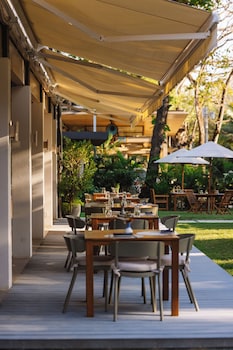 the gilded iguana surf hotel