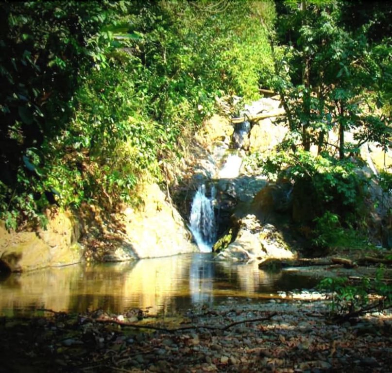 la gamba rainforest lodge
