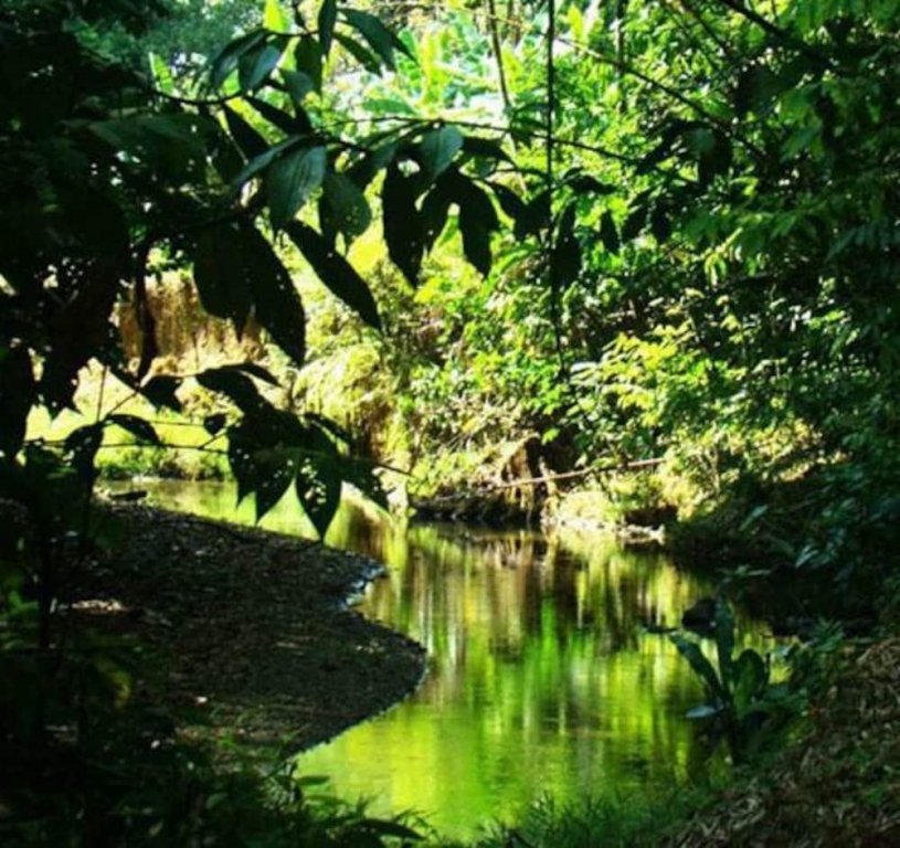 la gamba rainforest lodge
