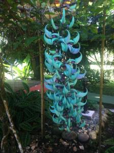 Cabanas Green House,,3 star