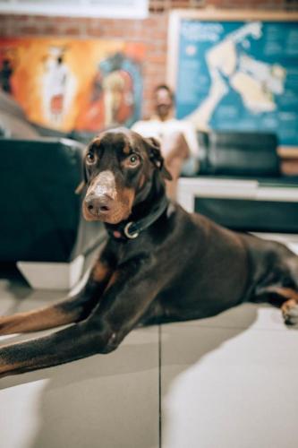 neos hotel cartagena