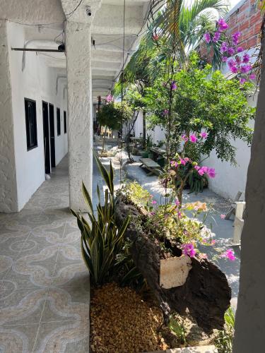 cartagena