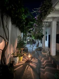 casa torices real 12