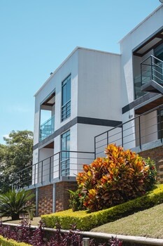 pereira
