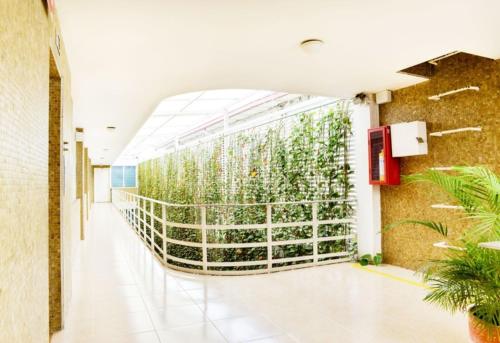 hotel thama palmira