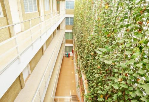 hotel thama palmira