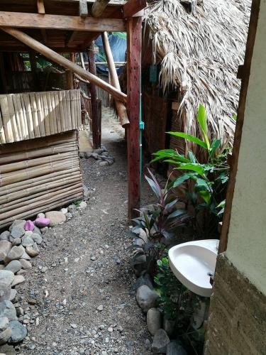 oasis hostal restaurante