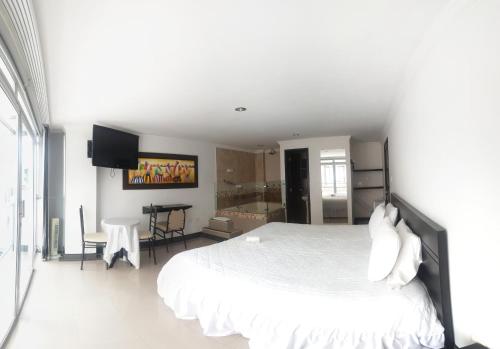 hotel andinos plaza