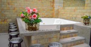 hotel andinos plaza