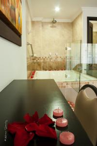hotel andinos plaza