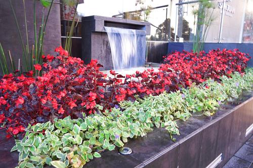 san juan hotel boutique pasto