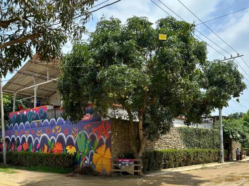 casa colibri palomino