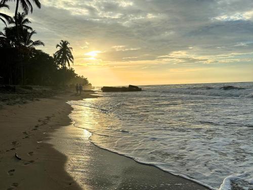 casa colibri palomino