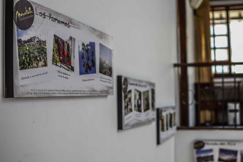 ayenda mountain hostels manizales