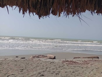 hotel rancherio shangai