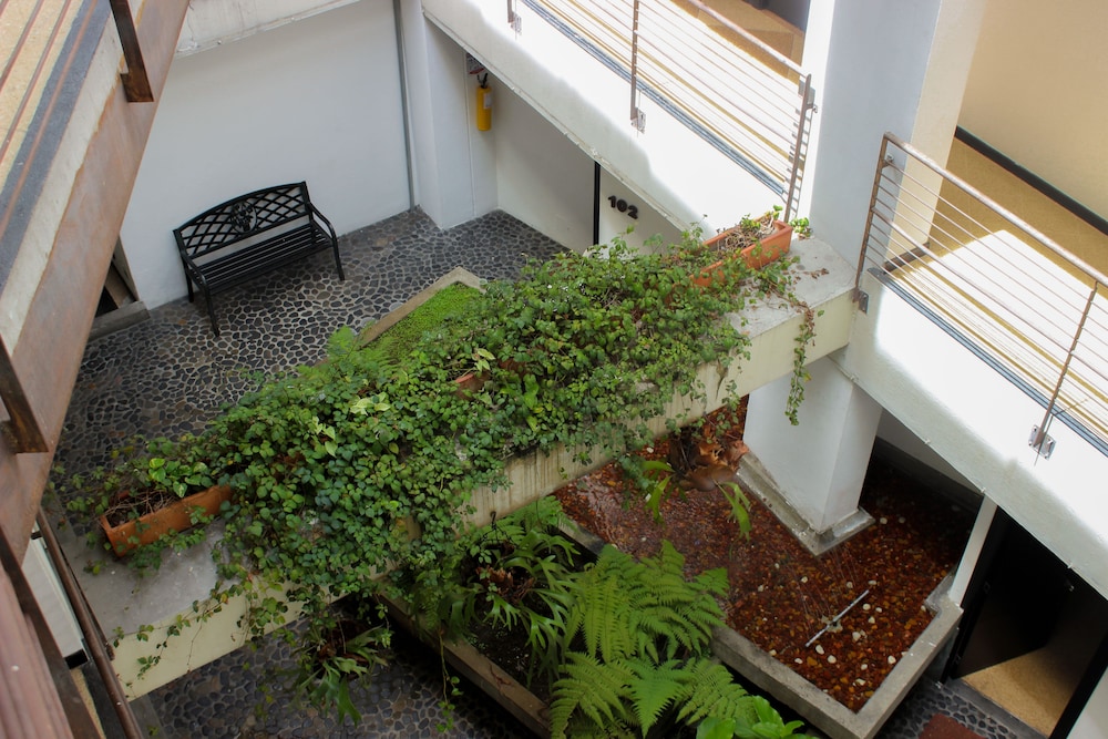 medellin