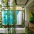 hotel natural